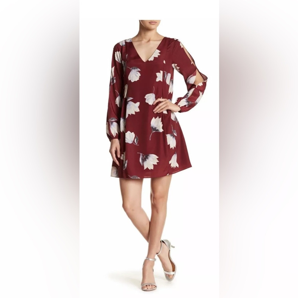 Cynthia Steffe Burgundy Floral Dress